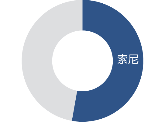 它表明,成像应用的全球市场份额(销售额)约为 53%。