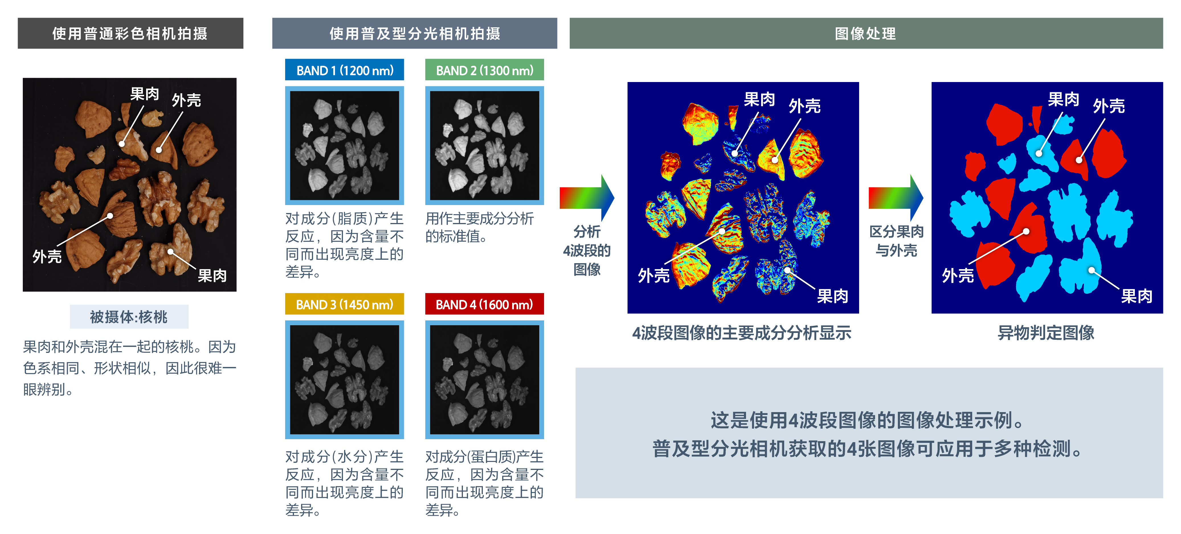 核桃异物检测(同色异物的检测)的说明